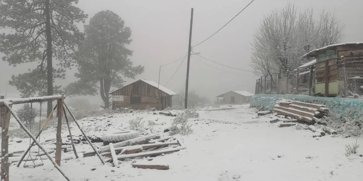 Tormenta invernal cubren de blanco a Chihuahua y Durango