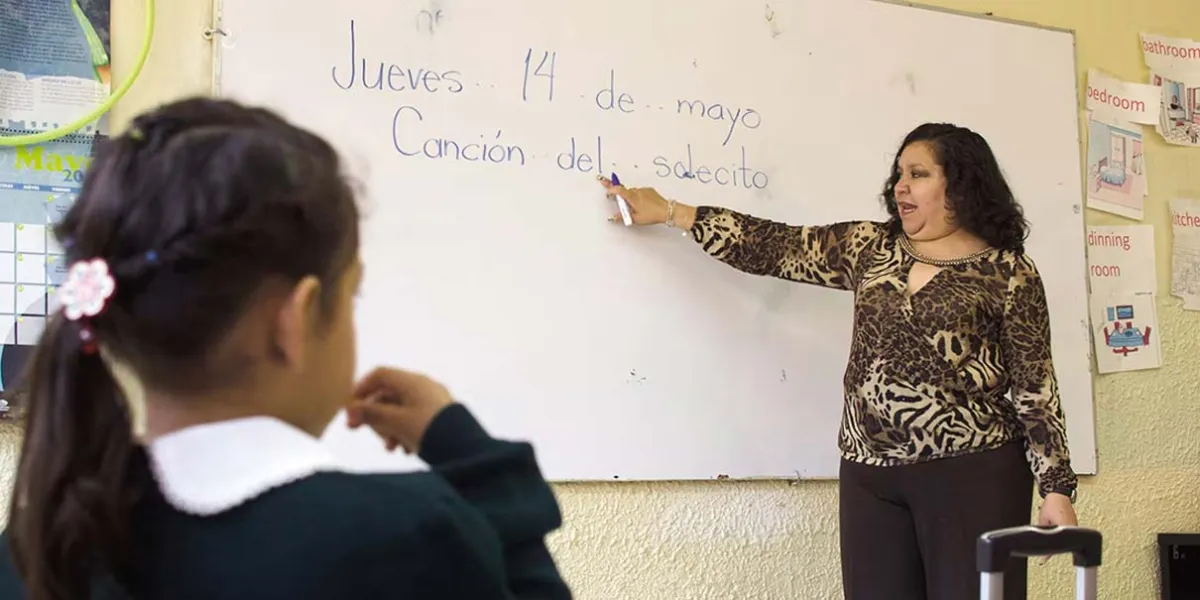 Nueva Escuela Mexicana: 4 de cada 10 maestros aún batallan para aplicarla