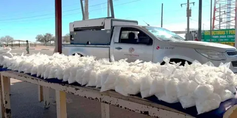 Harfuch confirma decomiso de 200 kilos de droga y desmantelamiento de 11 laboratorios