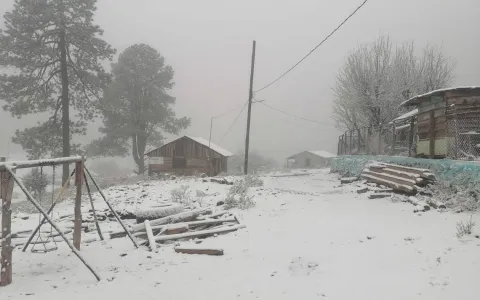 Tormenta invernal cubren de blanco a Chihuahua y Durango