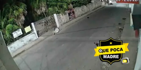 VIDEO. Buscan al responsable de atropellar y abandonar a un motociclista grave en Tizimín, Yucatán
